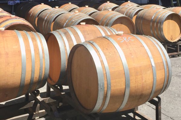 Barrels of our Santa Barbara Pinot Noir